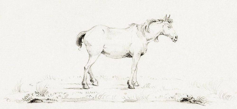 Standing horse by Jean Bernard (1775-1883). Original from The Rijksmuseum. Digitally enhanced by rawpixel.