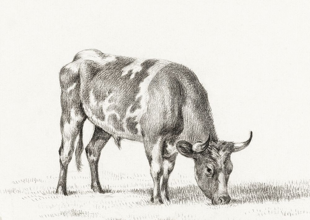 Grazing bull by Jean Bernard (1775-1883). Original from The Rijksmuseum. Digitally enhanced by rawpixel.