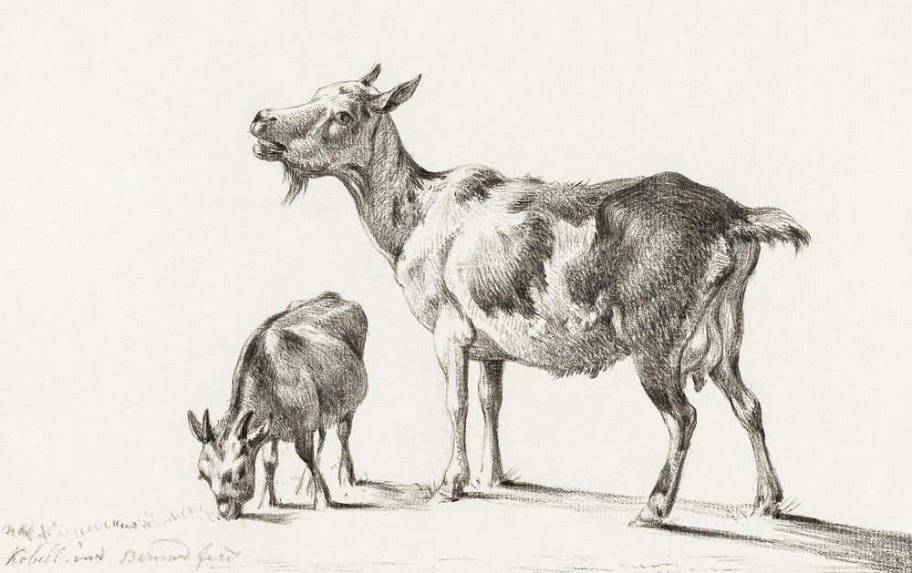 Goats by Jean Bernard (1775-1883). Original from The Rijksmuseum. Digitally enhanced by rawpixel.