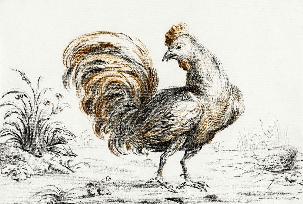 Rooster by Jean Bernard (1775-1883). Original from The Rijksmuseum. Digitally enhanced by rawpixel.