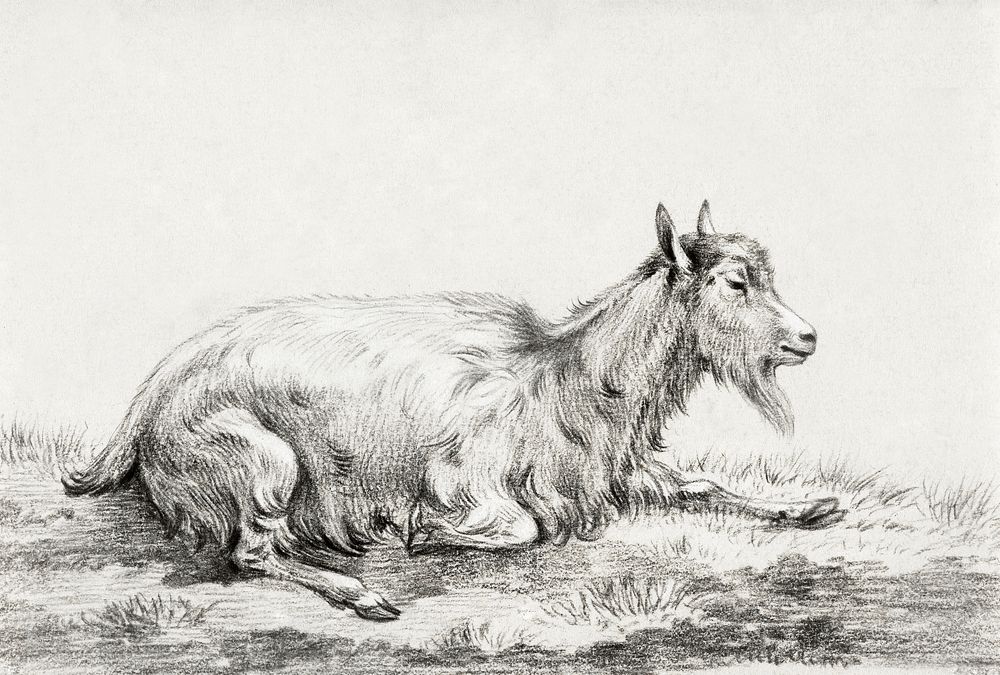 Lying goat (1813) by Jean Bernard (1775-1883). Original from The Rijksmuseum. Digitally enhanced by rawpixel.