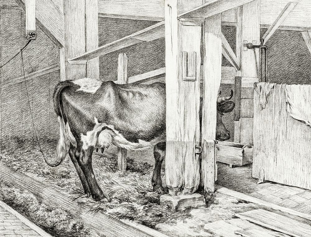 Standing cow (1812) by Jean Bernard (1775-1883). Original from The Rijksmuseum. Digitally enhanced by rawpixel.