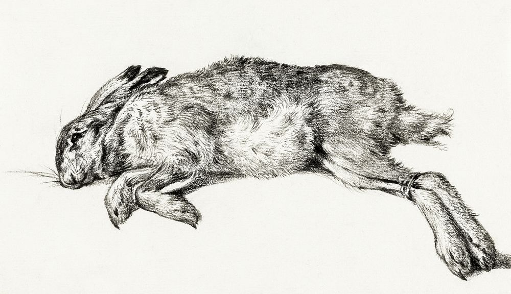 Dead hare (1818) by Jean Bernard (1775-1883). Original from The Rijksmuseum. Digitally enhanced by rawpixel.