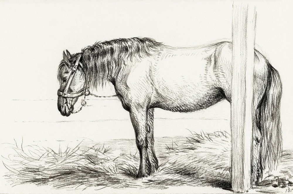 Standing horse (1817) by Jean Bernard (1775-1883). Original from The Rijksmuseum. Digitally enhanced by rawpixel.