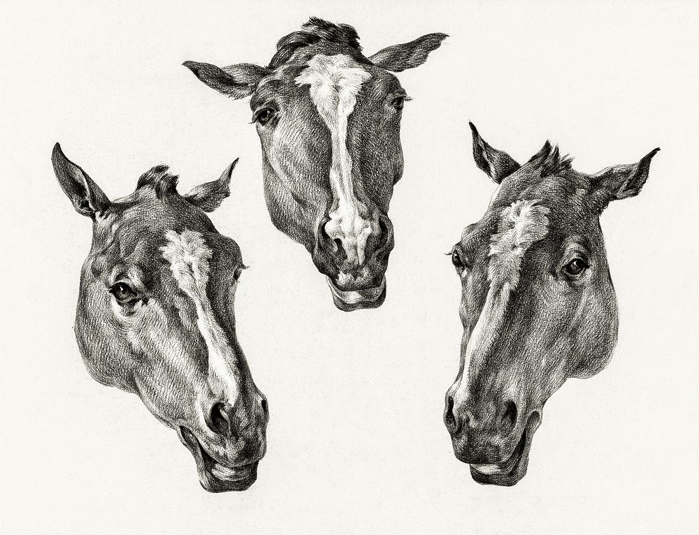 Three horse heads (1812) by Jean Bernard (1775-1883). Original from The Rijksmuseum. Digitally enhanced by rawpixel.