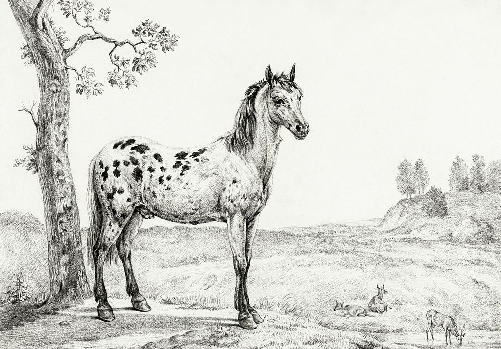 Standing mottled horse by Jean Bernard (1775-1883). Original from the Rijks Museum. Digitally enhanced by rawpixel.