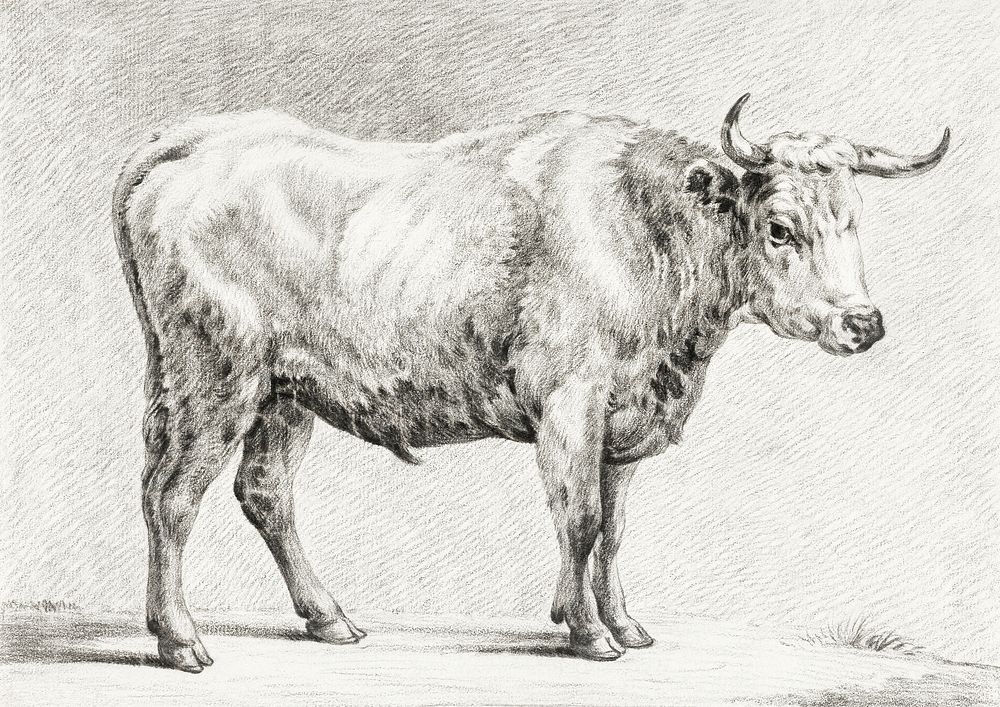 Standing bull by Jean Bernard (1775-1883). Original from The Rijksmuseum. Digitally enhanced by rawpixel.