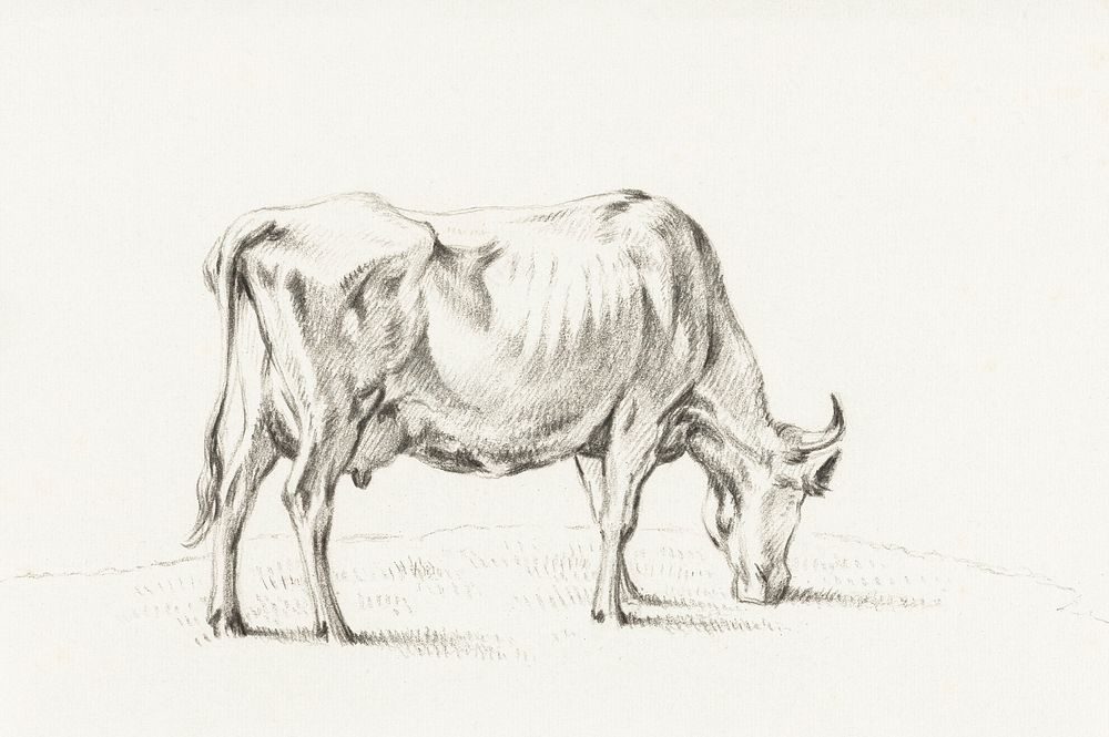 Standing cow by Jean Bernard (1775-1883). Original from The Rijksmuseum. Digitally enhanced by rawpixel.