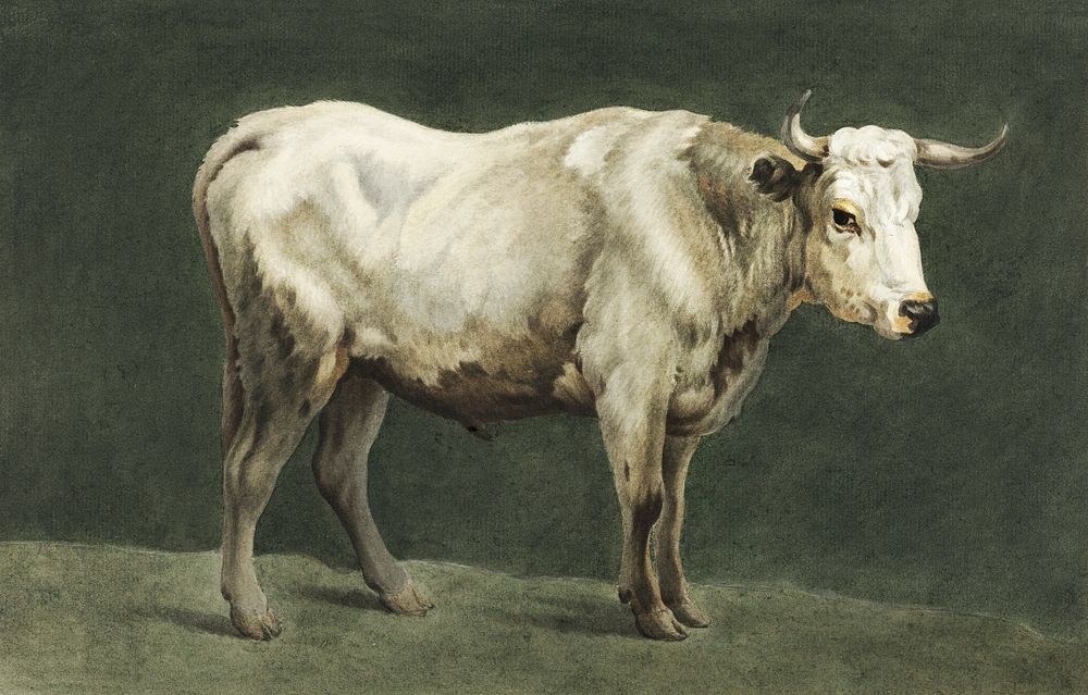 Standing bull painting by Jean Bernard (1775-1883). Original from The Rijksmuseum. Digitally enhanced by rawpixel.