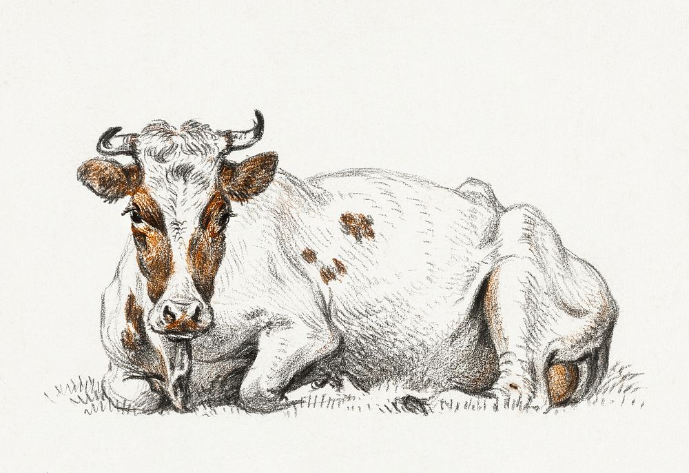 Lying cow by Jean Bernard (1775-1883). Original from the Rijks Museum. Digitally enhanced by rawpixel.