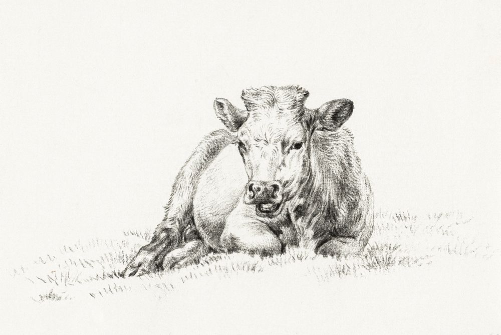 Lying cow (1821) by Jean Bernard (1775-1883). Original from the Rijks Museum. Digitally enhanced by rawpixel.