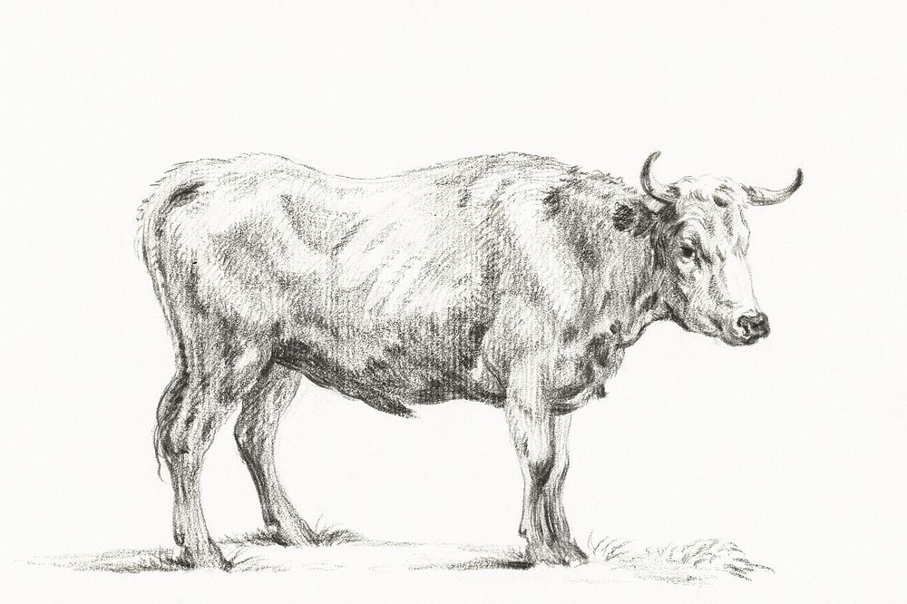 Standing bull by Jean Bernard (1775-1883). Original from the Rijks Museum. Digitally enhanced by rawpixel.
