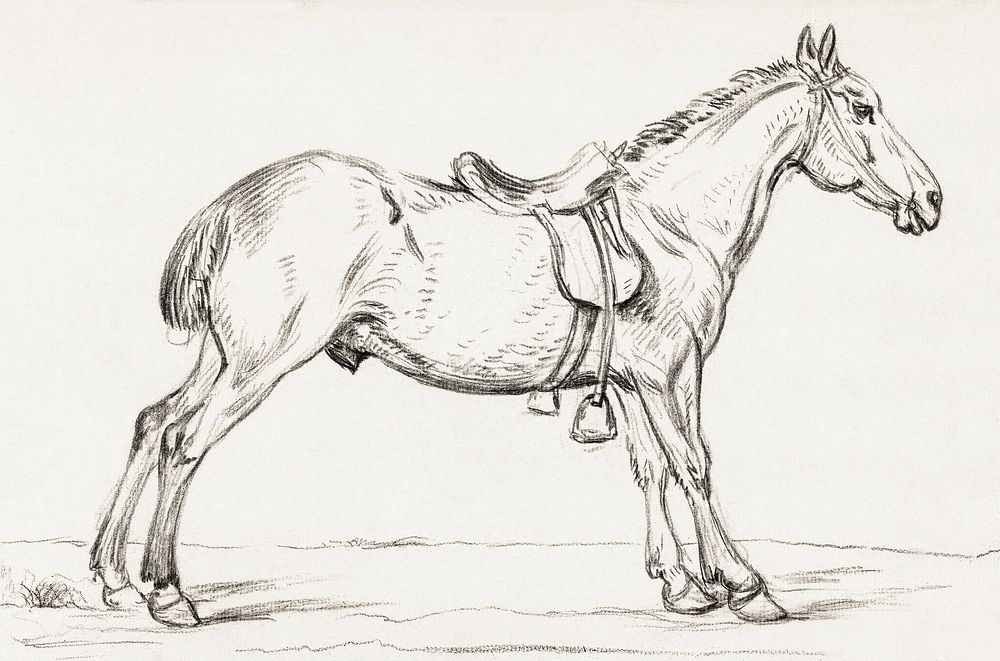Saddled horse (1823) by Jean Bernard (1775-1883). Original from The Rijksmuseum. Digitally enhanced by rawpixel.