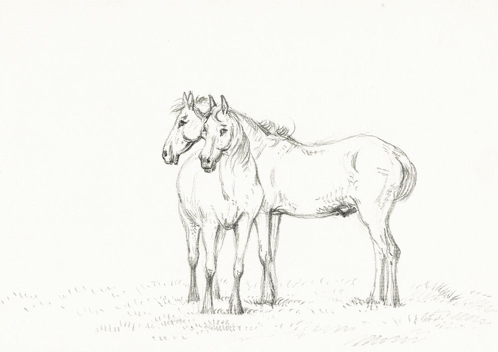 Two horses standing together (1816) by Jean Bernard (1775-1883). Original from the Rijks Museum. Digitally enhanced by…