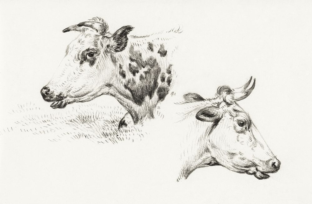 Two studies of the head of a cow (1825) by Jean Bernard (1775-1883). Original from The Rijksmuseum. Digitally enhanced by…