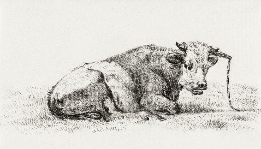 Lying cow (1825) by Jean Bernard (1775-1883). Original from The Rijksmuseum. Digitally enhanced by rawpixel.