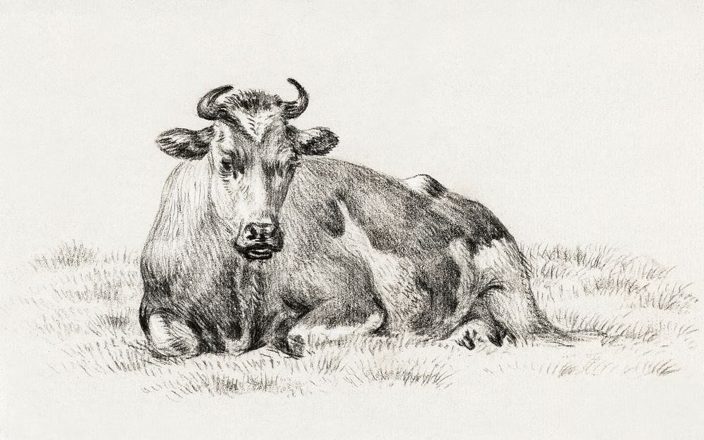 Lying cow (1825) by Jean Bernard (1775-1883). Original from The Rijksmuseum. Digitally enhanced by rawpixel.