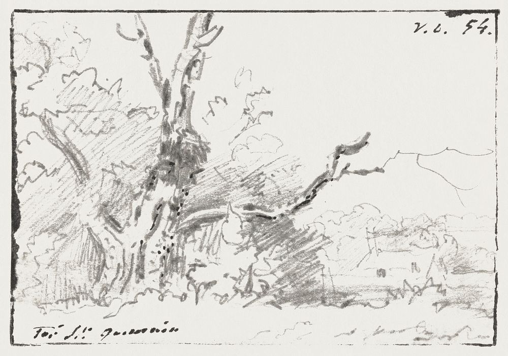 Boomstudie (1854) by Georgius Jacobus Johannes van Os. Original from The Rijksmuseum. Digitally enhanced by rawpixel.​​​​​