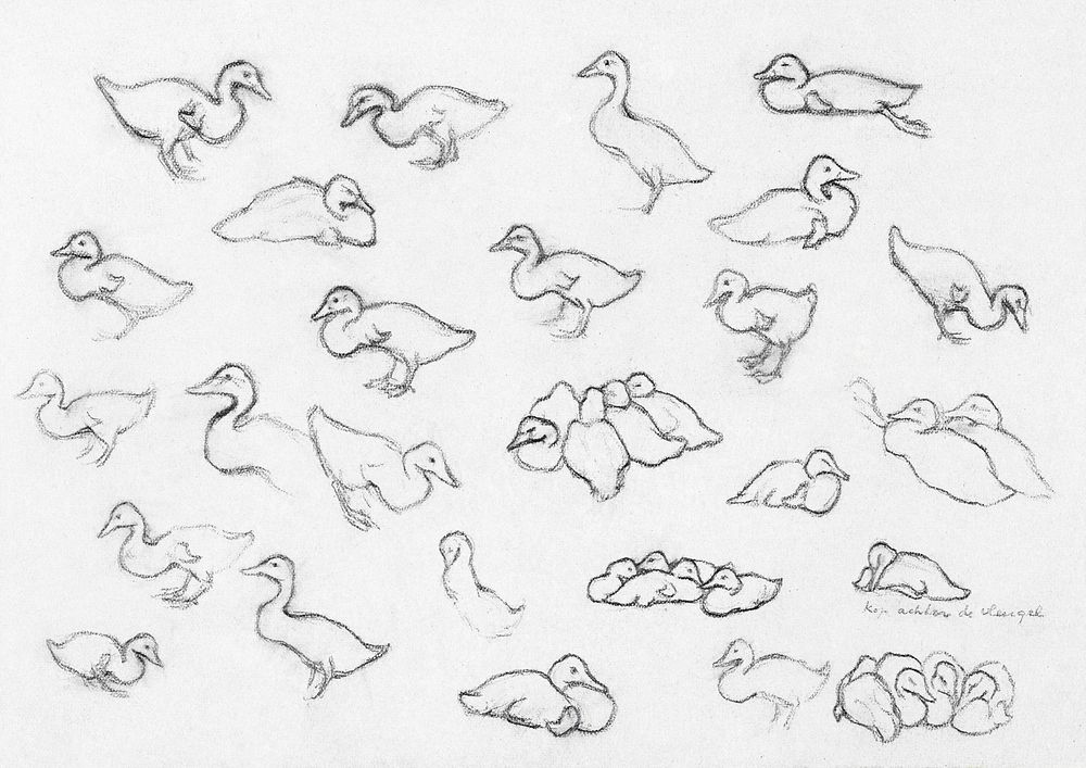 Study sketch of ducks by Julie de Graag (1877-1924). Original from The Rijksmuseum. Digitally enhanced by rawpixel.