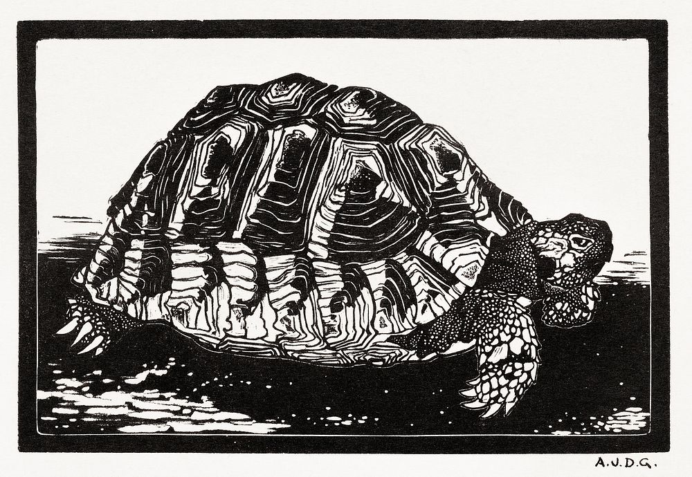 Turtle by Julie de Graag (1877-1924). Original from The Rijksmuseum. Digitally enhanced by rawpixel