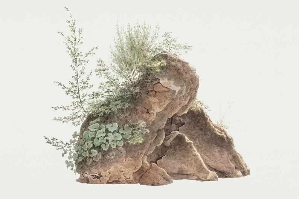 Hand drawn watercolor overgrown rocks design element
