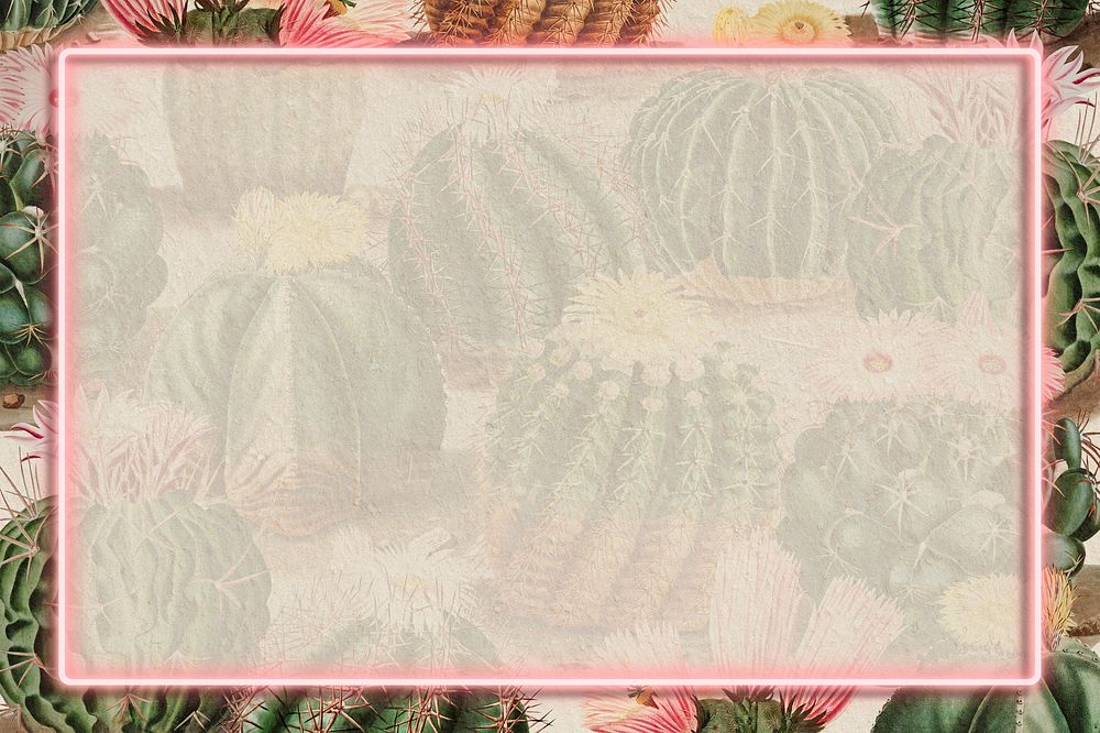 Rectangle pink neon frame on vintage cactus background design element