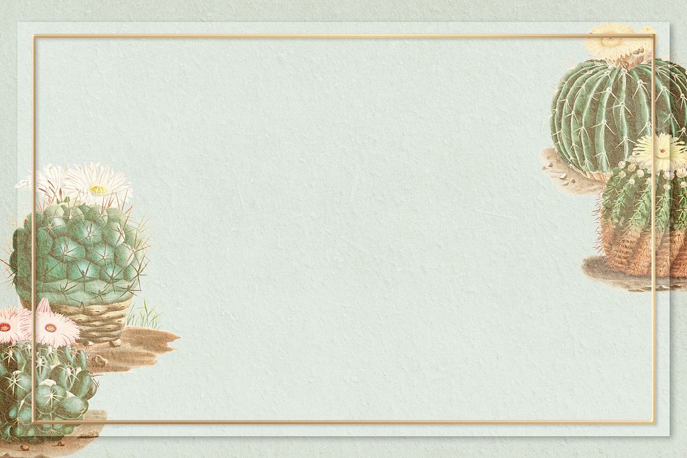 Rectangle gold frame on vintage cactus background design element