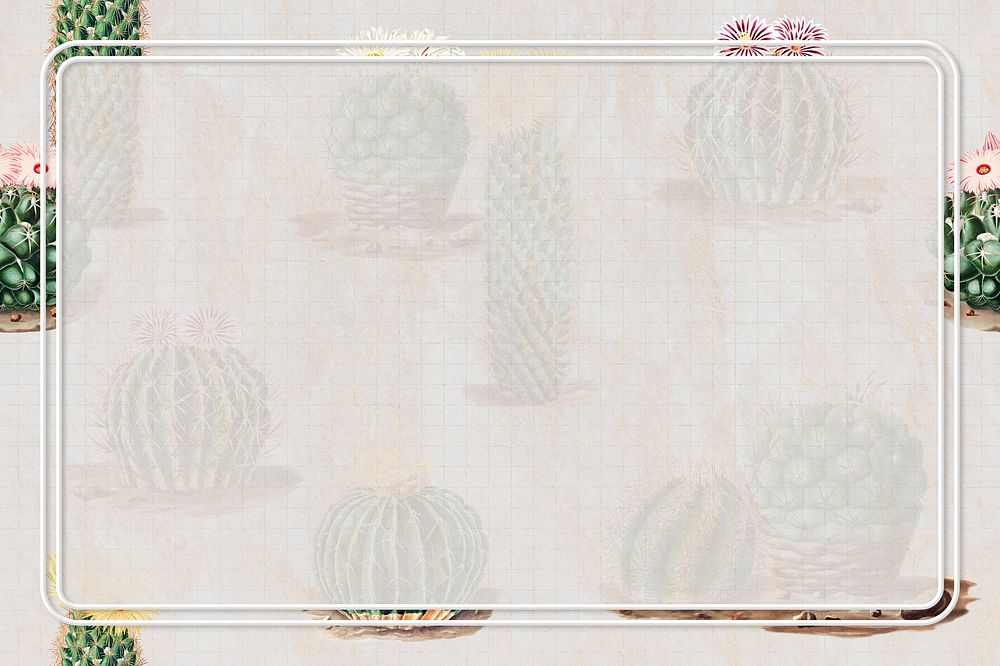Rectangle frame on vintage cactus pattern background design element
