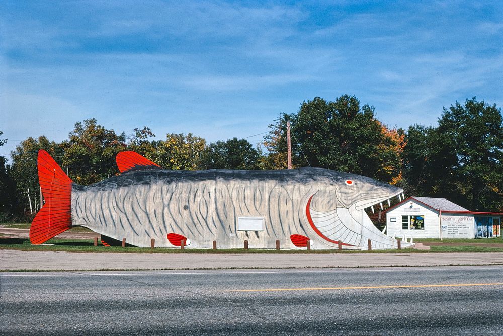 Big Fish Supper Club, Bena, Minnesota (1980) photography in high resolution by John Margolies. Original from the Library of…