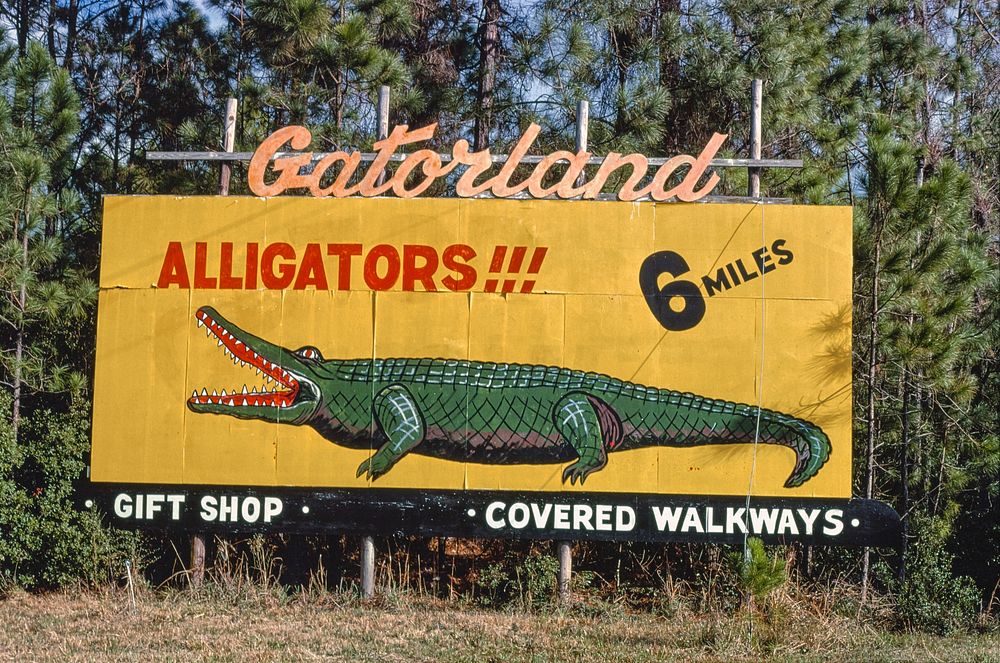 Gatorland, Route 1, St. Augustine, Florida (1979) photography in high resolution by John Margolies. Original from the…