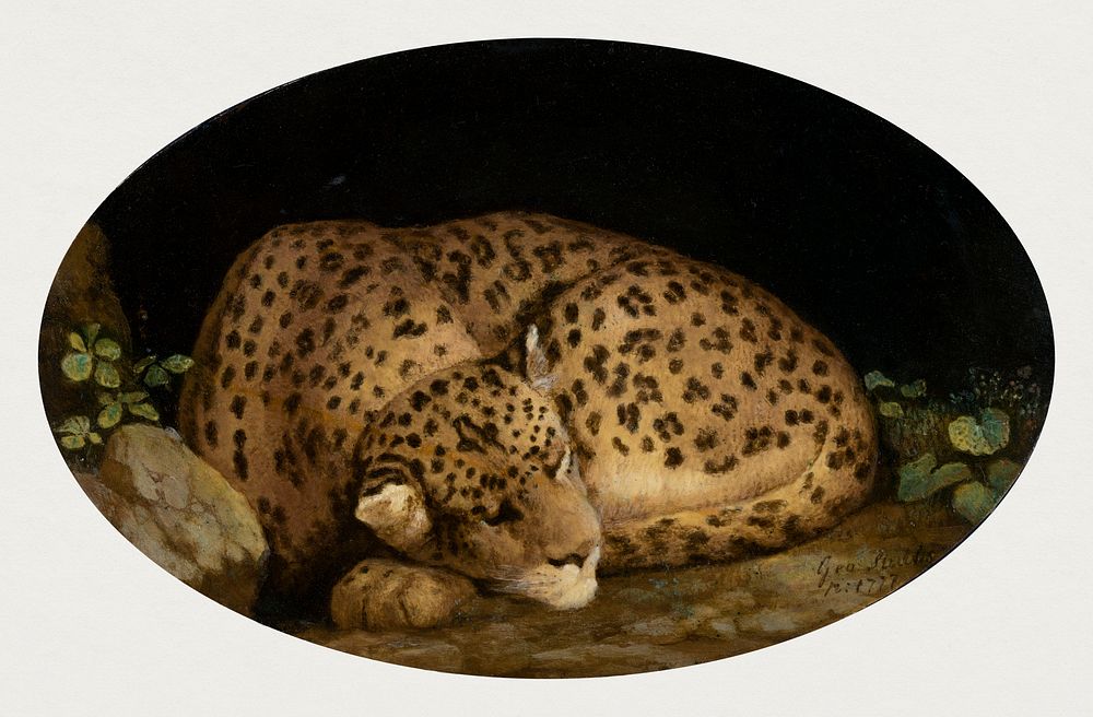 Sleeping Leopard (1777) painting in high resolution by George Stubbs. Original from The Yale University Art Gallery.…