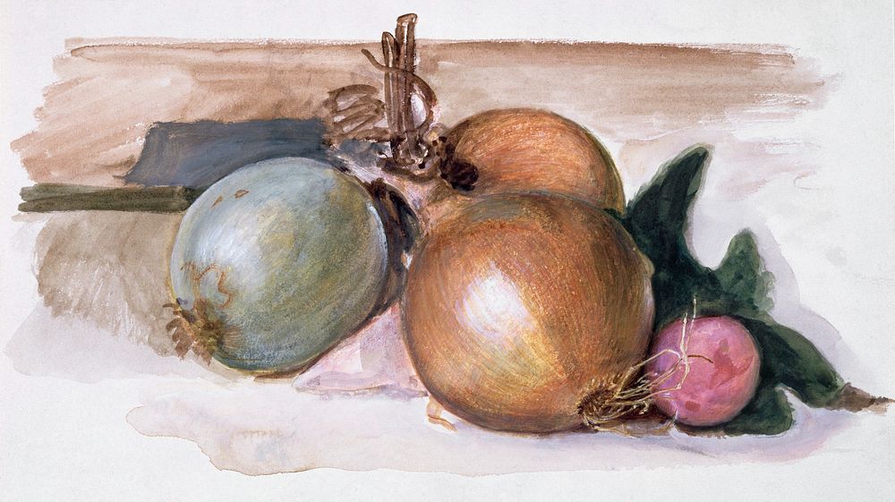 Still-Life - Study of Onions (1871&ndash;1875) painting in high resolution by Sir Edward Burne&ndash;Jones. Original from…