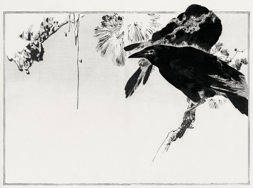 Japanese crows perched on a branch. Illustration from Seitei Kacho Gafu (1890&ndash;1891) by Wantanabe Seitei, a prominent…