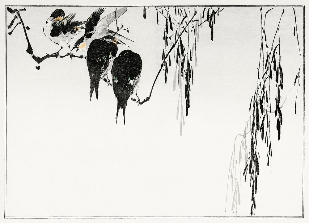 Perched magpies. Illustration from Seitei Kacho Gafu (1890&ndash;1891) by Wantanabe Seitei, a prominent Kacho-ga artist.…