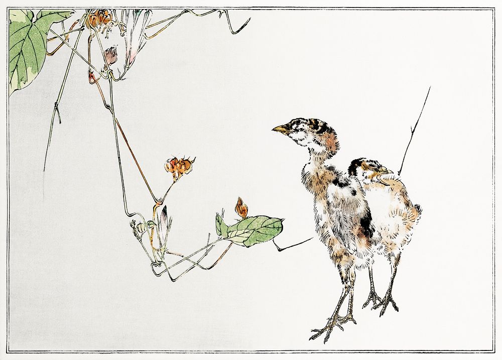 Wild ducklings illustration from Seitei Kacho Gafu (1890&ndash;1891) by Wantanabe Seitei, a prominent Kacho-ga artist.…