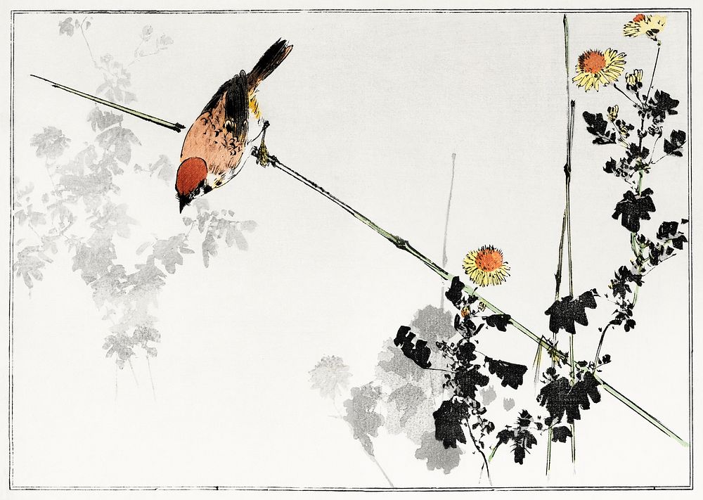 Japanese swallow bird, illustration from Seitei Kacho Gafu (1890&ndash;1891) by Wantanabe Seitei, a prominent Kacho-ga…