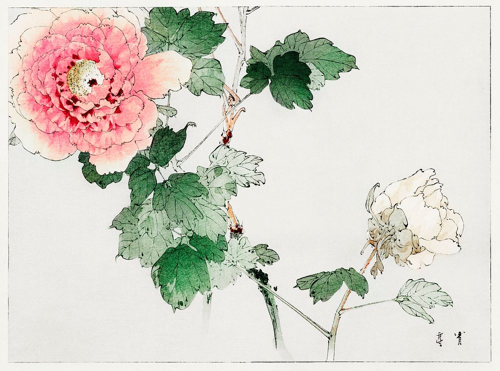Bijutsu Sekai by Watanabe Seitei | CC0 Japanese flower woodblock prints ...
