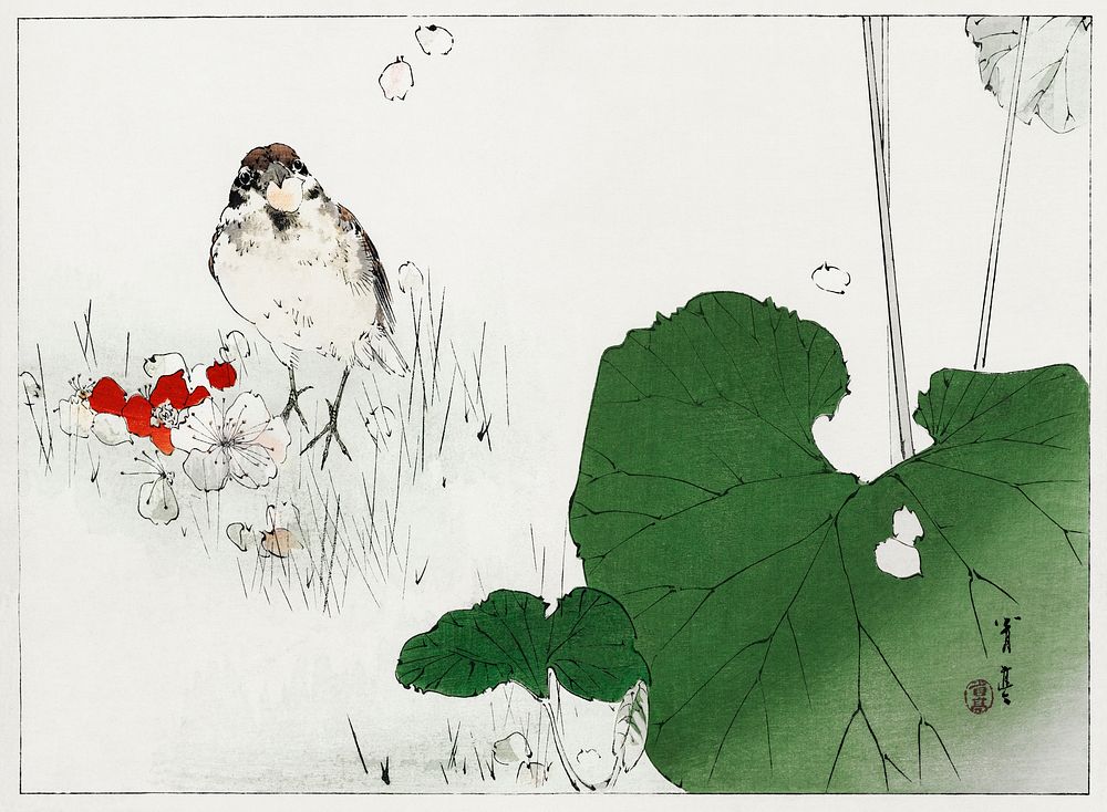 Eurasian tree sparrow illustration from Bijutsu Sekai (1893-1896) by Watanabe Seitei, a prominent Kacho-ga artist. Digitally…