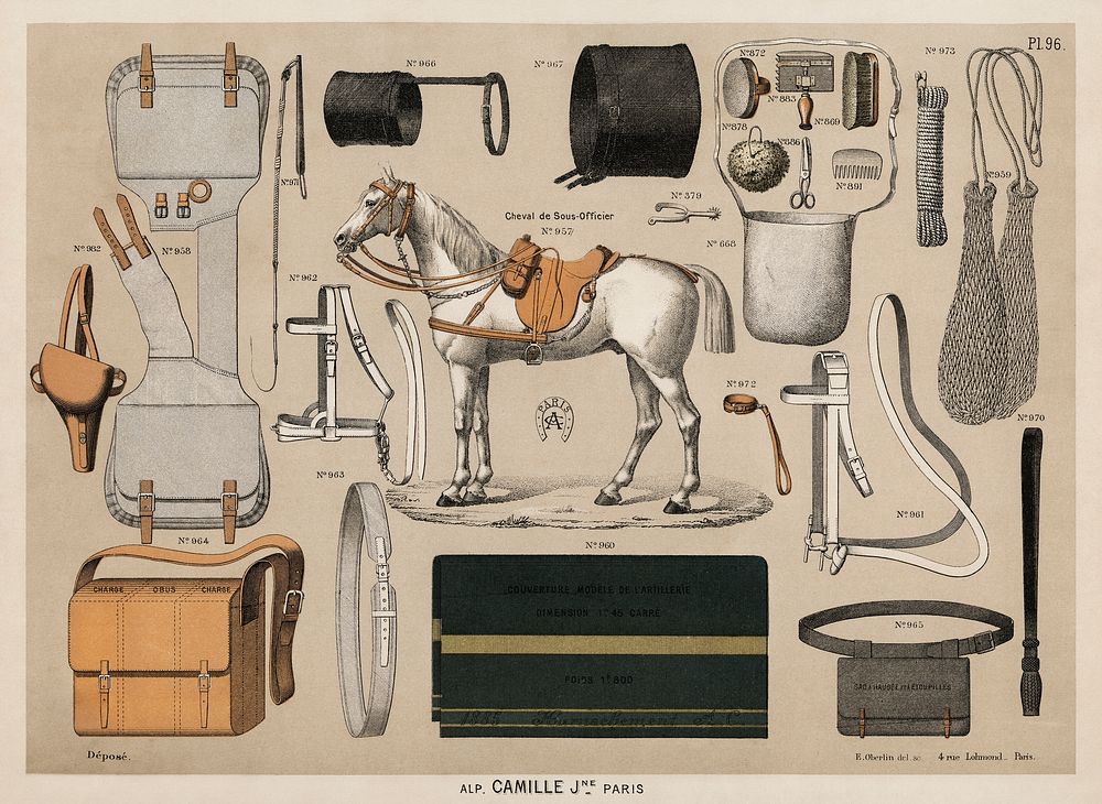 A chromolithograph of horses with antique horseback riding equipments (1890), from an antique horseback riding catalog.…