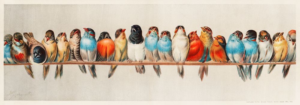 A Perch of Birds vintage illustration wall art print and poster design remix from original artwork of Hector Giacomelli 