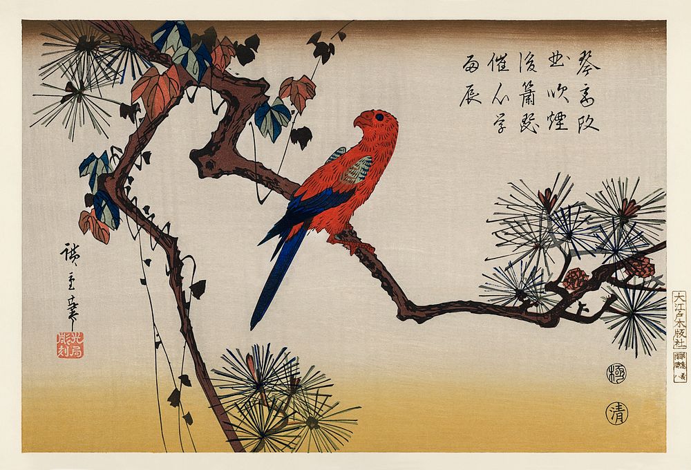 Ukiyo-e illustration, Macaw on Pine Branch by Utagawa Hiroshige, also known as Ando Hiroshige (1797-1858), a portrait of a…