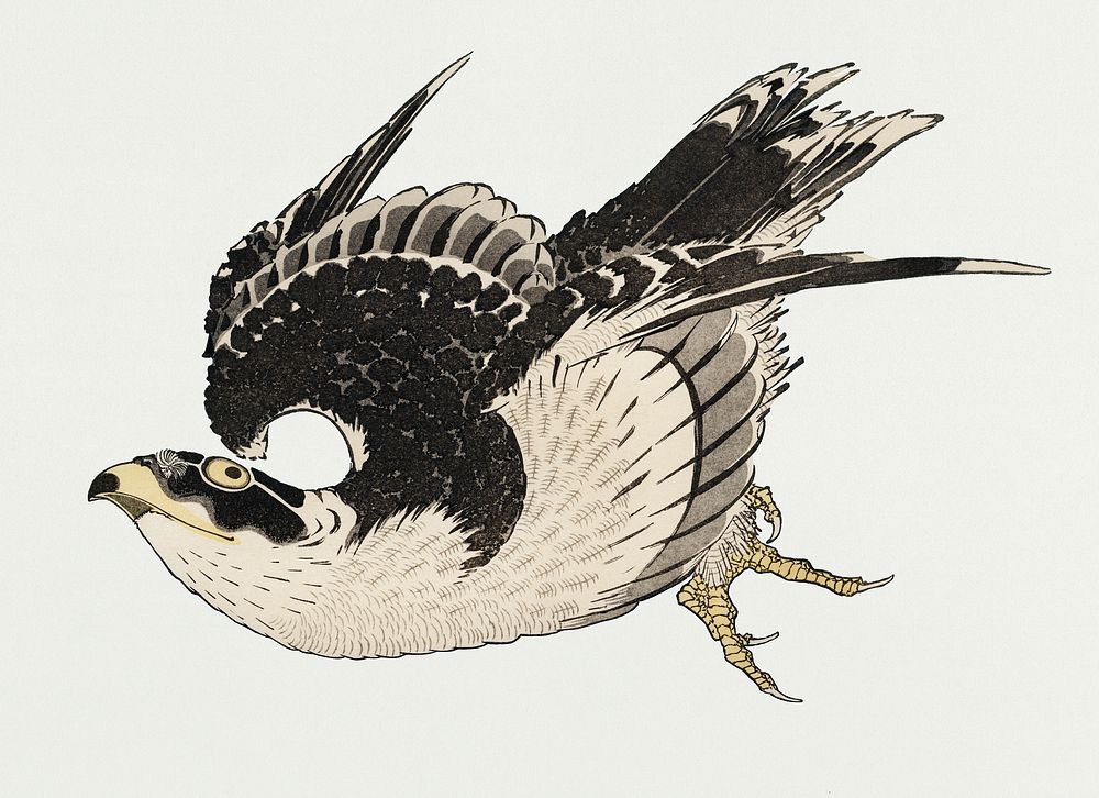 Vintage Illustration of The ukiyo-e.