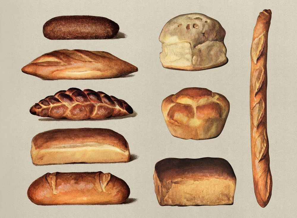The Grocer's Encyclopedia (1911), a vintage collection of various types of baked bread loaves. Digitally enhanced by…