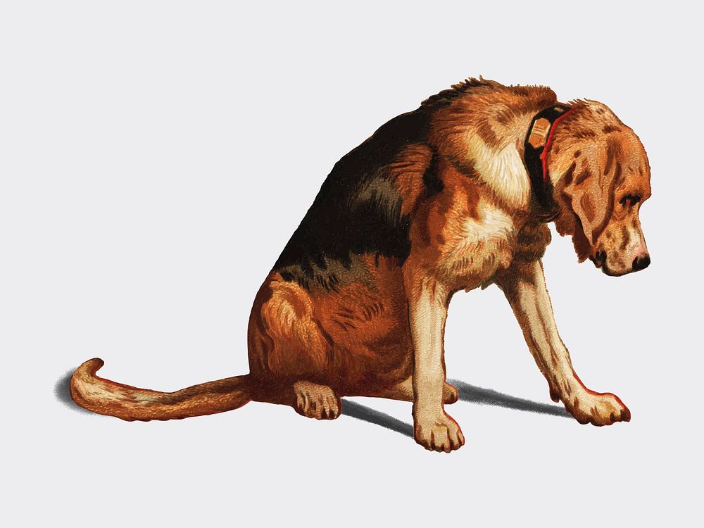 Suspense (1877) by Sir Edwin Landseer, a Victorian bloodhound mastiff waiting. Digitally enhanced by rawpixel.