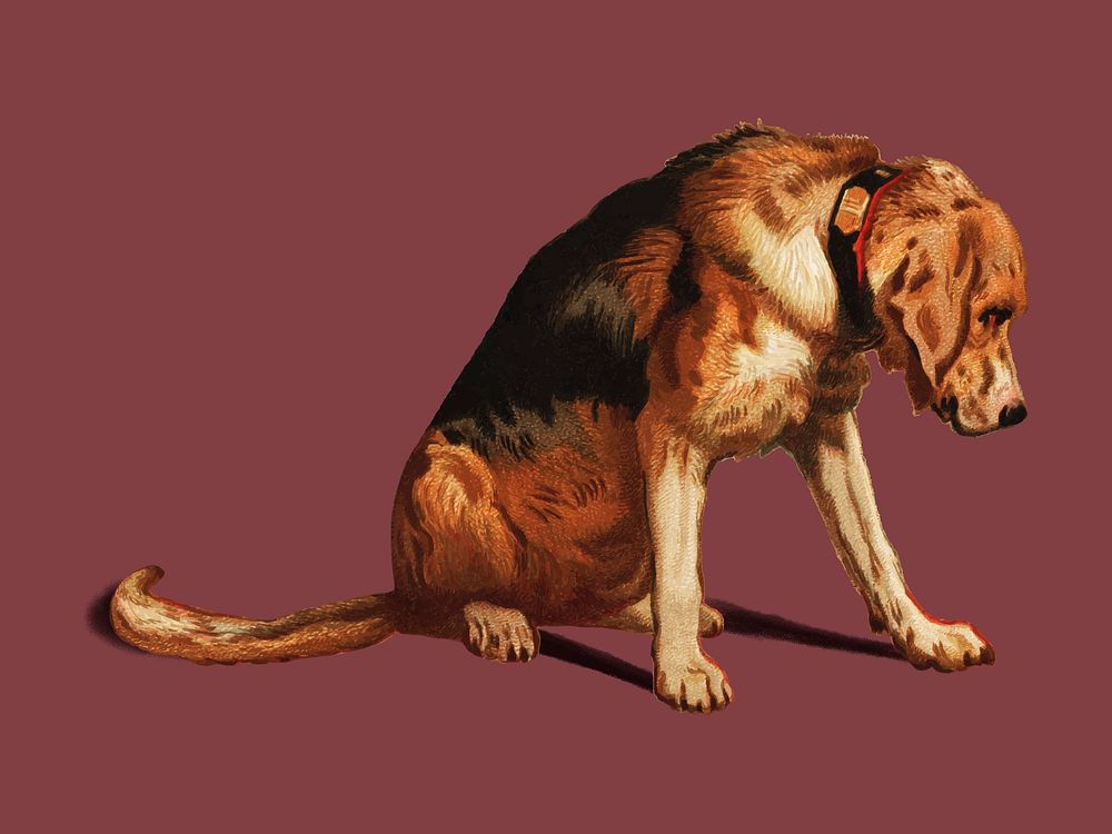 Suspense (1877) by Sir Edwin Landseer, a Victorian bloodhound mastiff waiting. Digitally enhanced by rawpixel.