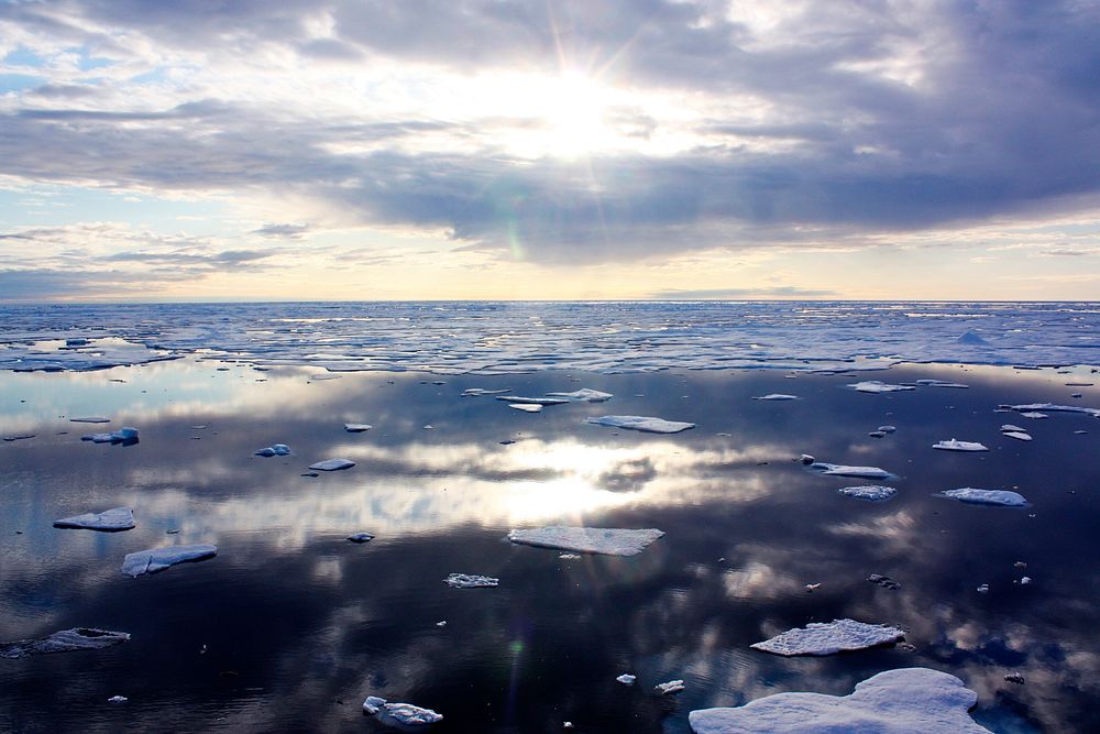 The U.S. Coast Guard Cutter Healy encountered only small patches of sea ice in the Chukchi Sea during the final days…