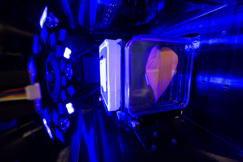 Inside the Spectrum prototype unit, organisms in a Petri plate are exposed to blue excitation lighting. Original from NASA.…