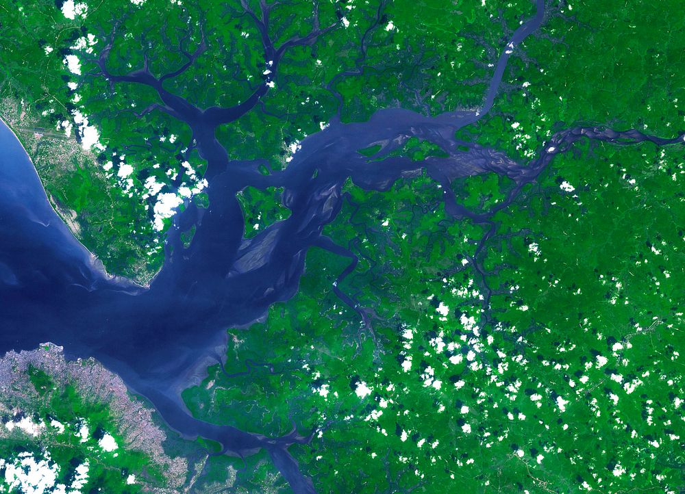 Image acquired by NASA's Terra spacecraft of the Sierra Leone estuary. Original from NASA. Digitally enhanced by rawpixel.