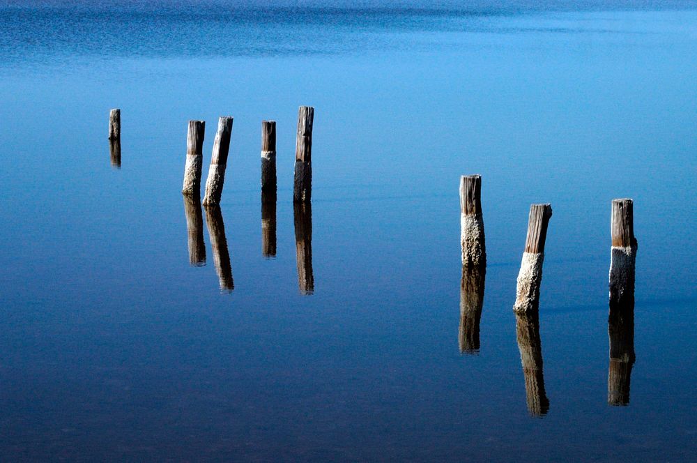 The remnant pilings of a long-gone dock appear to float in air due to their reflection in the blue, still water of a pond…