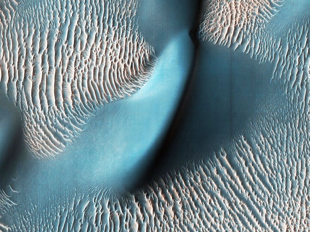 Sand dunes and ripples in Proctor Crater, Mars. Original from NASA. Digitally enhanced by rawpixel.